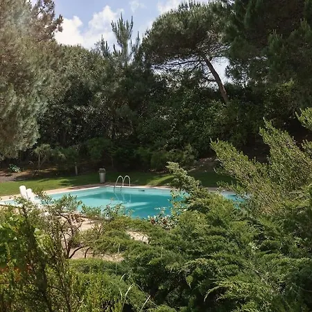 Oasis Pool - D'el Rey Golf Holiday home