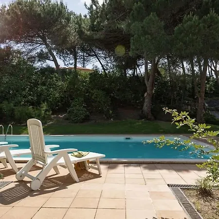 Oasis Pool - D'el Rey Golf *