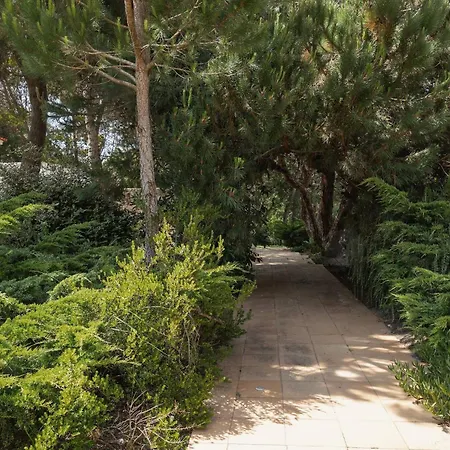 Oasis Pool - D'el Rey Golf *