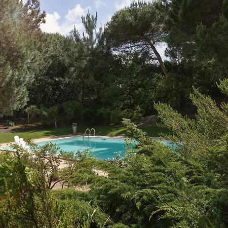 Oasis Pool - D'el Rey Golf Palaios