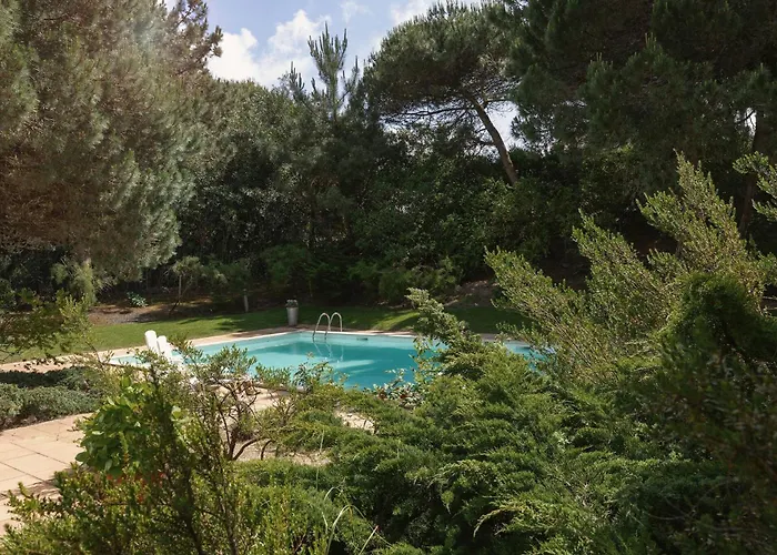 Oasis Pool - D'el Rey Golf Palaios